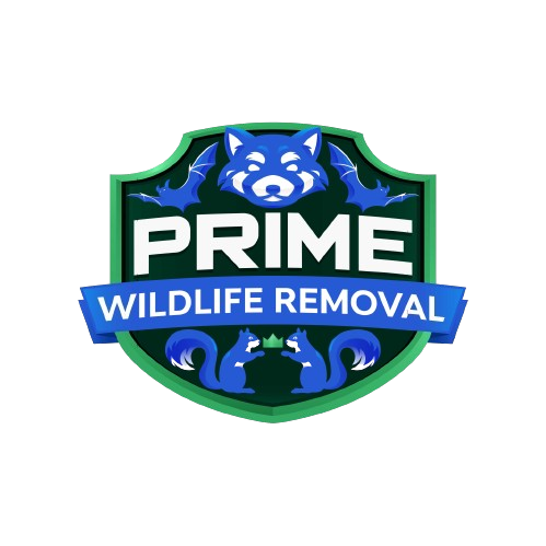 Wildlife Removal York